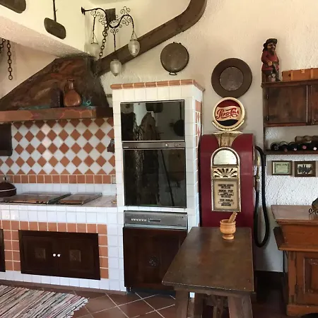 Timea * Marsala