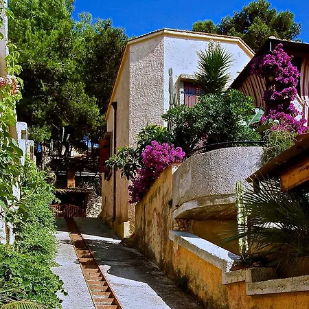 Timea * Marsala