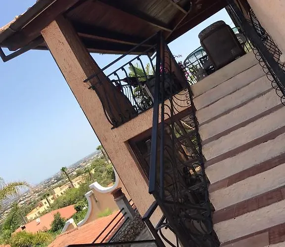 Timea Марсала